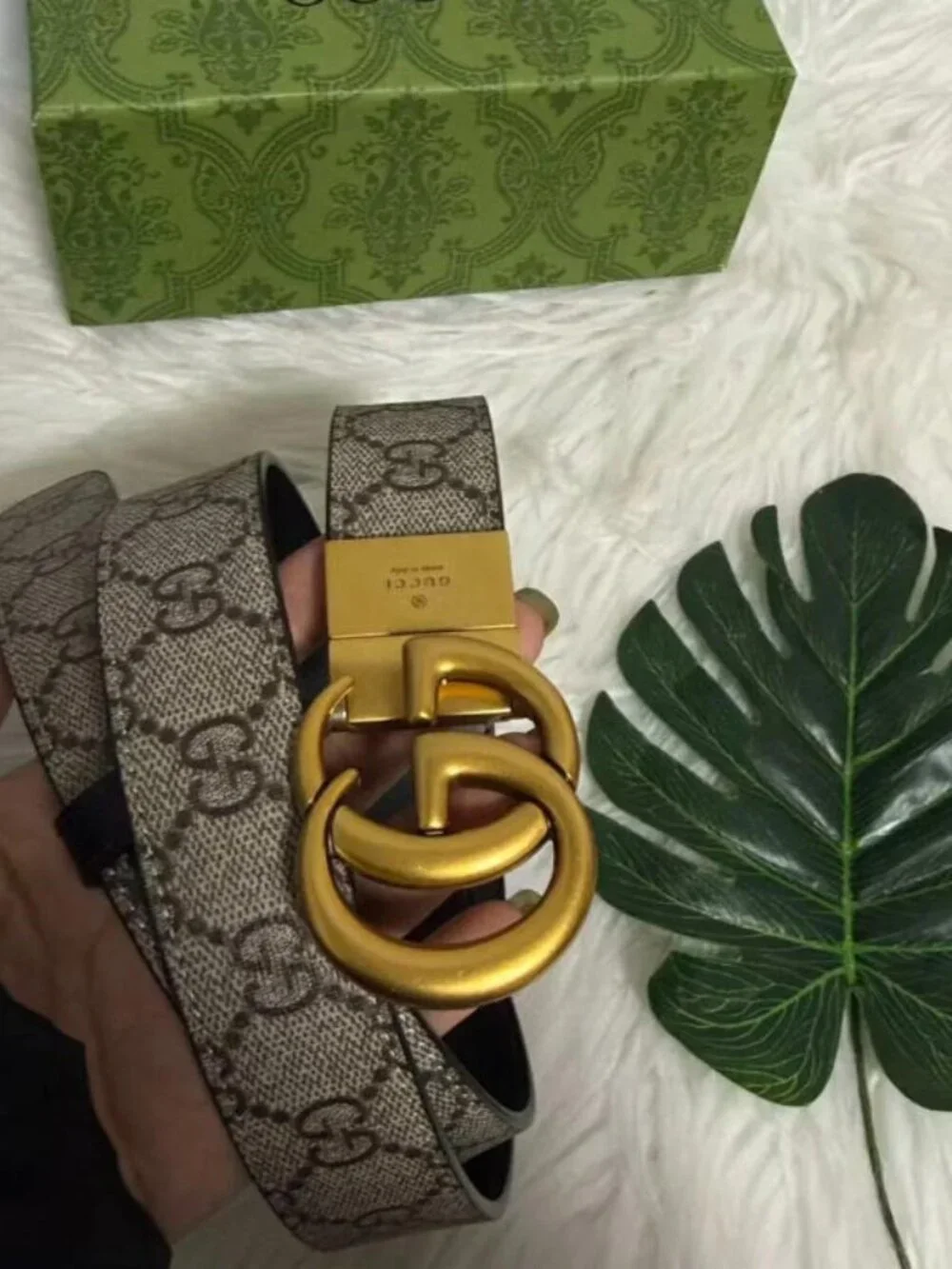 Gucci Women's Black and Brown Belt